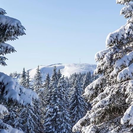 Waldtwin 2 Titisee Exterior photo