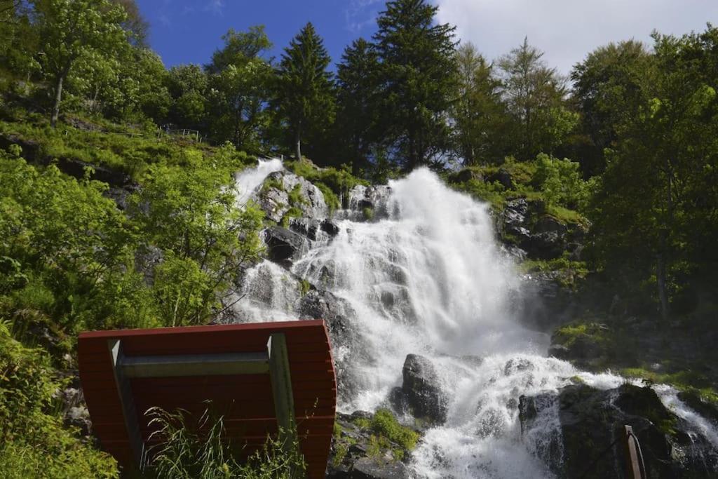 Waldtwin 2 Titisee Exterior photo