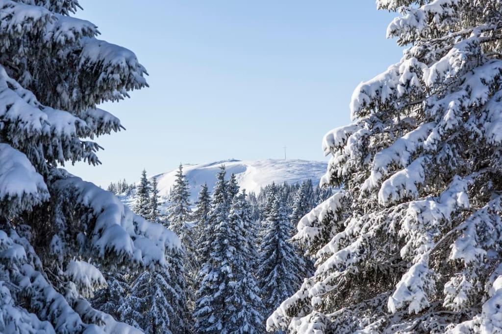 Waldtwin 2 Titisee Exterior photo