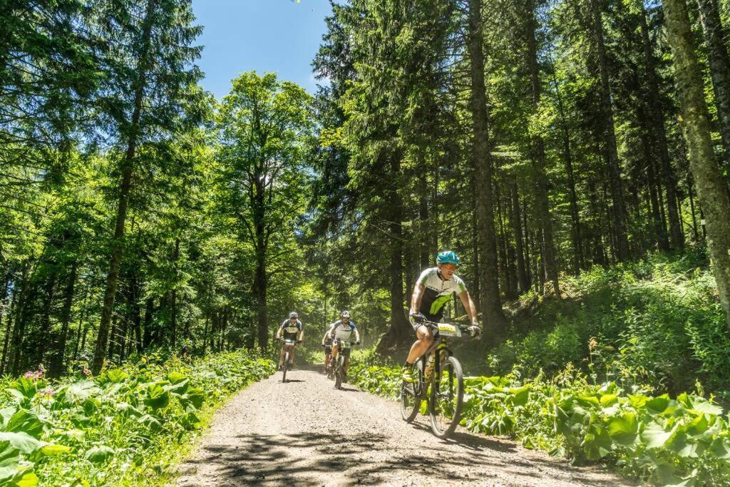 Waldtwin 2 Titisee Exterior photo